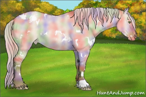 Horse Color:Nacre White Spotted Silver Sable Champagne Dun Appaloosa 