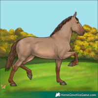 Horse Color:Red Dun