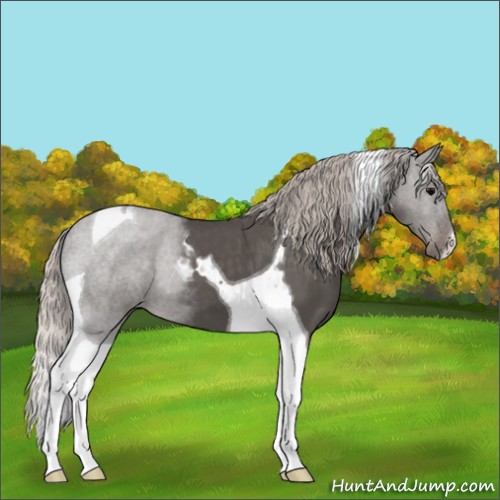 Horse Color:Silver Black Tobiano 