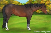 Horse Color:Brown 