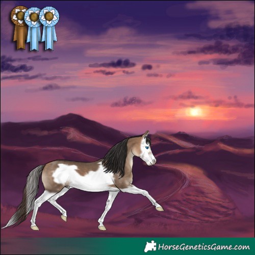 Horse Color:Bay Dun Splash Frame 