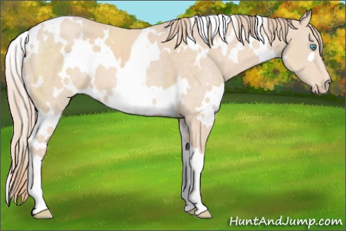 Horse Color:White Spotted Chocolate Perlino 