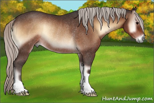 Horse Color:Silver Brown Onyx Rabicano 