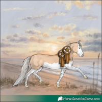 Horse Color:Silver Bay Dun Splash 