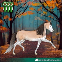 Horse Color:Bay Dun Splash 