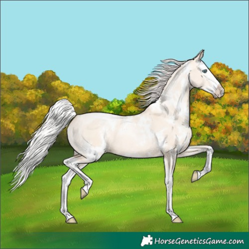 Horse Color:White Spotted Silver Classic Champagne Pearl Dun Splash 