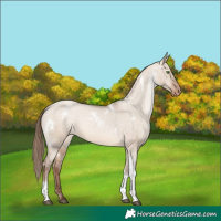 Horse Color:White Spotted Brown Pearl Dun Tobiano Varnish Rabicano 