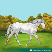 Horse Color:Silver Classic Champagne Roan Pearl Dun Sabino Blanket Rabicano 