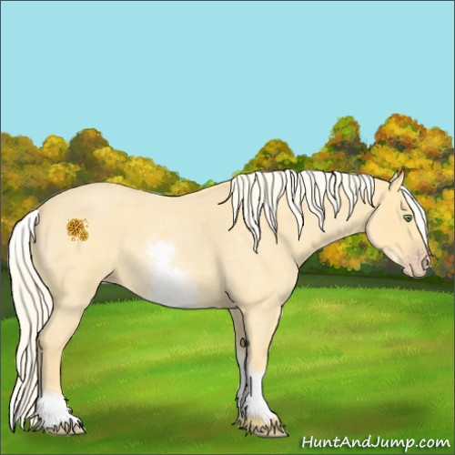 Horse Color:White Spotted Gold Cream Champagne Roan 