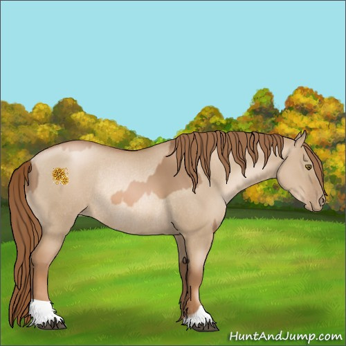 Horse Color:Liver Chestnut Pearl Rabicano  and Liver Red Dun Pearl Rabicano 