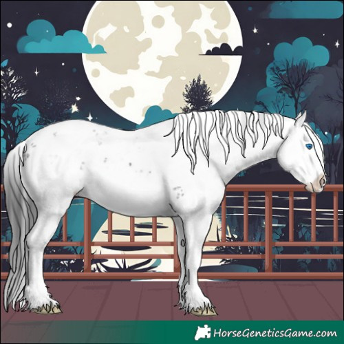 Horse Color:Black Sabino Splash 