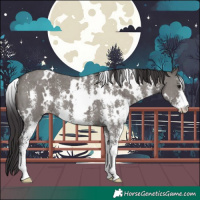 Horse Color:White Spotted Smoky Grullo Sabino