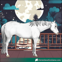 Horse Color:Grullo Sabino Rabicano 