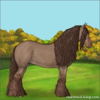 Horse Color:Liver Red Dun Rabicano 