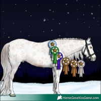 Horse Color:Gray Bay Pearl Sabino Tobiano