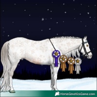 Horse Color:Gray Bay Pearl Sabino Tobiano