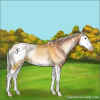 Horse Color:Silver Bay Ice Onyx Splash Appaloosa 
