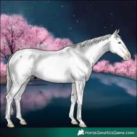 Horse Color:White Spotted Silver Brown Appaloosa 
