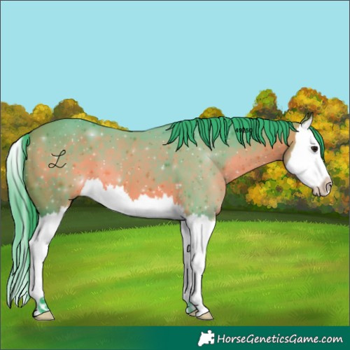 Horse Color:Watercolor Bay Splash 