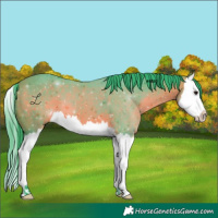 Horse Color:Watercolor Bay Splash