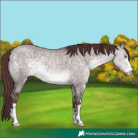 Horse Color:Platinum Chocolate Buckskin Dun 