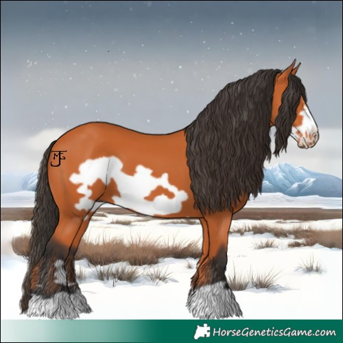 Horse Color:Bay Frame