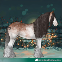 Horse Color:White Spotted Bay 