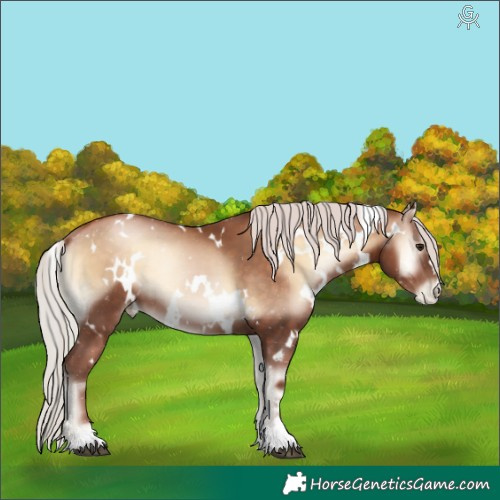 Horse Color:White Spotted Silver Brown Pearl Onyx 