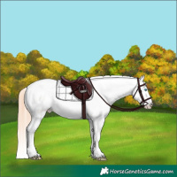Horse Color:Amber Champagne Pearl Sabino
