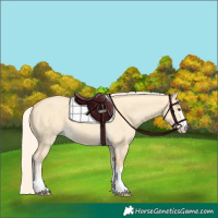 Horse Color:Palomino Dun 