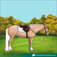 Horse Color:Silver Bay Pearl 