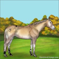 Horse Color:Void Palomino Ice Onyx Tobiano 