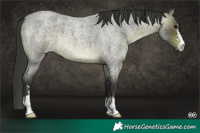Horse Color:Platinum Brown Roan 