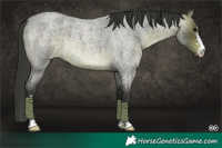 Horse Color:Platinum Brown Roan 