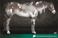 Horse Color:Platinum White Spotted Liver Chestnut 
