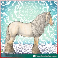 Horse Color:Gold Cream Champagne Roan Splash
