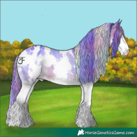 Horse Color:Nacre Watercolor White Spotted Brown Splash Appaloosa Rabicano