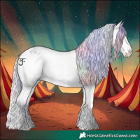 Horse Color:Nacre Watercolor Silver Bay Dun Splash Appaloosa Rabicano