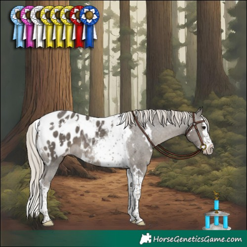Horse Color:White Spotted Silver Smoky Black Splash Tobiano Appaloosa 