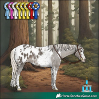 Horse Color:White Spotted Silver Smoky Black Splash Tobiano Appaloosa