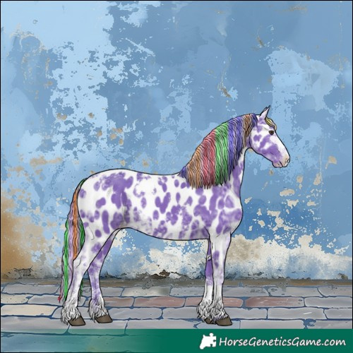 Horse Color:Painted Watercolor White Spotted Liver Chestnut Ice Appaloosa 