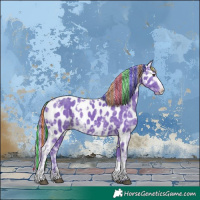 Horse Color:Painted Watercolor White Spotted Liver Chestnut Ice Appaloosa 