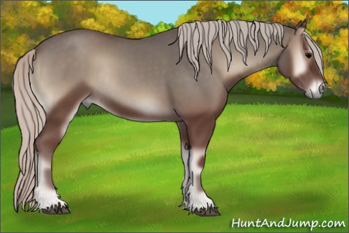 Horse Color:Silver Blue Onyx Rabicano 