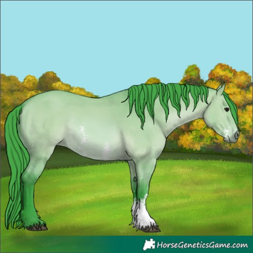 Horse Color:Watercolor Bay Dun Sabino Rabicano 