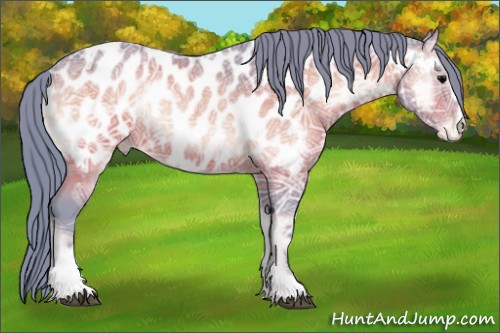 Horse Color:Watercolor Brown Ice Onyx Sabino Appaloosa Rabicano 