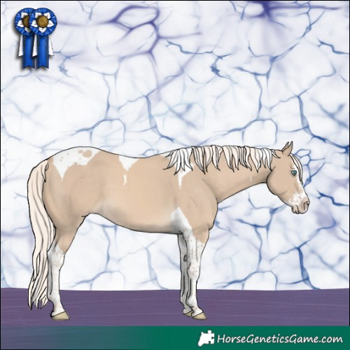 Horse Color:Cremello Splash Tobiano 