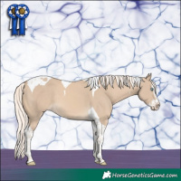 Horse Color:Cremello Splash Tobiano 