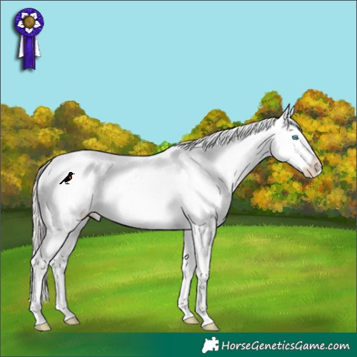 Horse Color:White Spotted Cremello Snowflake Varnish and White Spotted Silver Perlino Snowcap