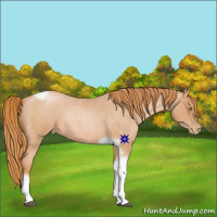 Horse Color:Red Roan Pearl Tobiano Frame