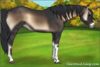 Horse Color:Brown Onyx Tobiano
